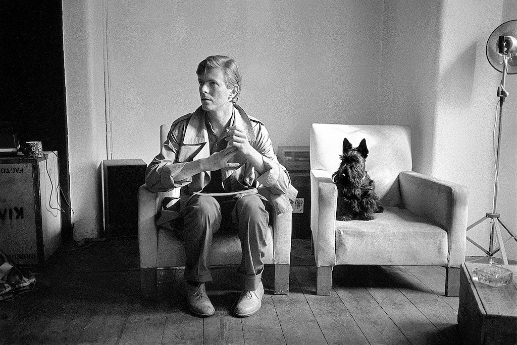 blooloop (@blooloop) on Twitter photo .<a href="/nomadexhibit/">Nomad Exhibitions</a> announces opening of #Bowie TAKEN by Duffy exhibition in Madrid. bit.ly/41z55TW .<a href="/nomadexhibit/">Nomad Exhibitions</a> announces opening of #Bowie TAKEN by Duffy exhibition in Madrid. bit.ly/41z55TW