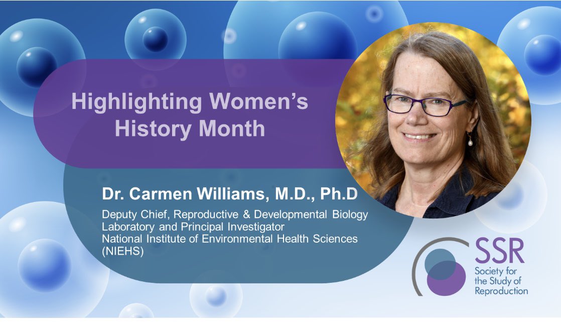 WinRS_SSR's tweet photo. 1/3 This #WomensHistoryMonth we are highlighting #WinRS who are exceptional leaders in the field of reproductive sciences. We are kicking off with Dr @CarmenRepro Dr. Williams emphasizes her leadership through her role as a mentor https://t.co/Xfa5SKK1YK