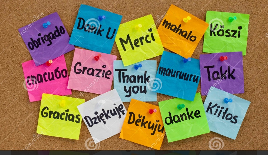 Massive thanks to one of our student teachers for their kind delivery of food and toiletries for the pantry.  Remember if you need to access the pantry it is open at the end of the school day.   <a href="/WhitehillSec/">Whitehill Secondary</a>