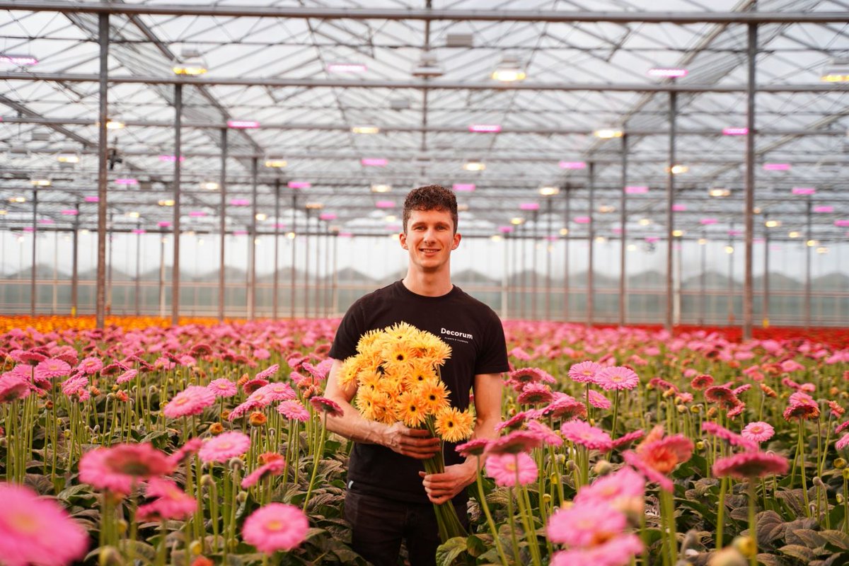 Dean Zuidgeest became a co-owner of family-owned Villa Gerbera and Villa Curcuma on 1 January this year. He recently joined Royal FloraHolland’s Youth Council. Read his column:  royalfloraholland.com/en/news-2023/w…