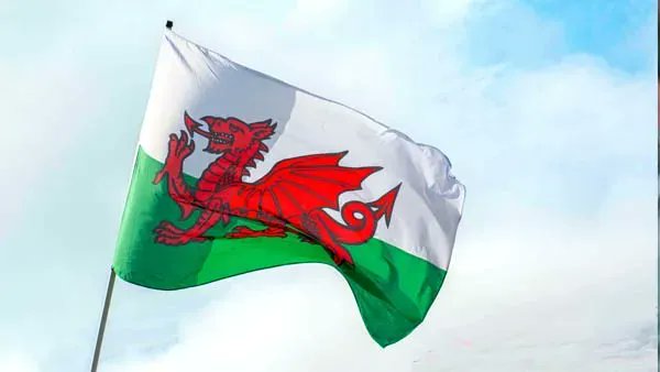 Happy St David's Day or Dydd Gŵyl Dewi Hapus to all our Welsh friends