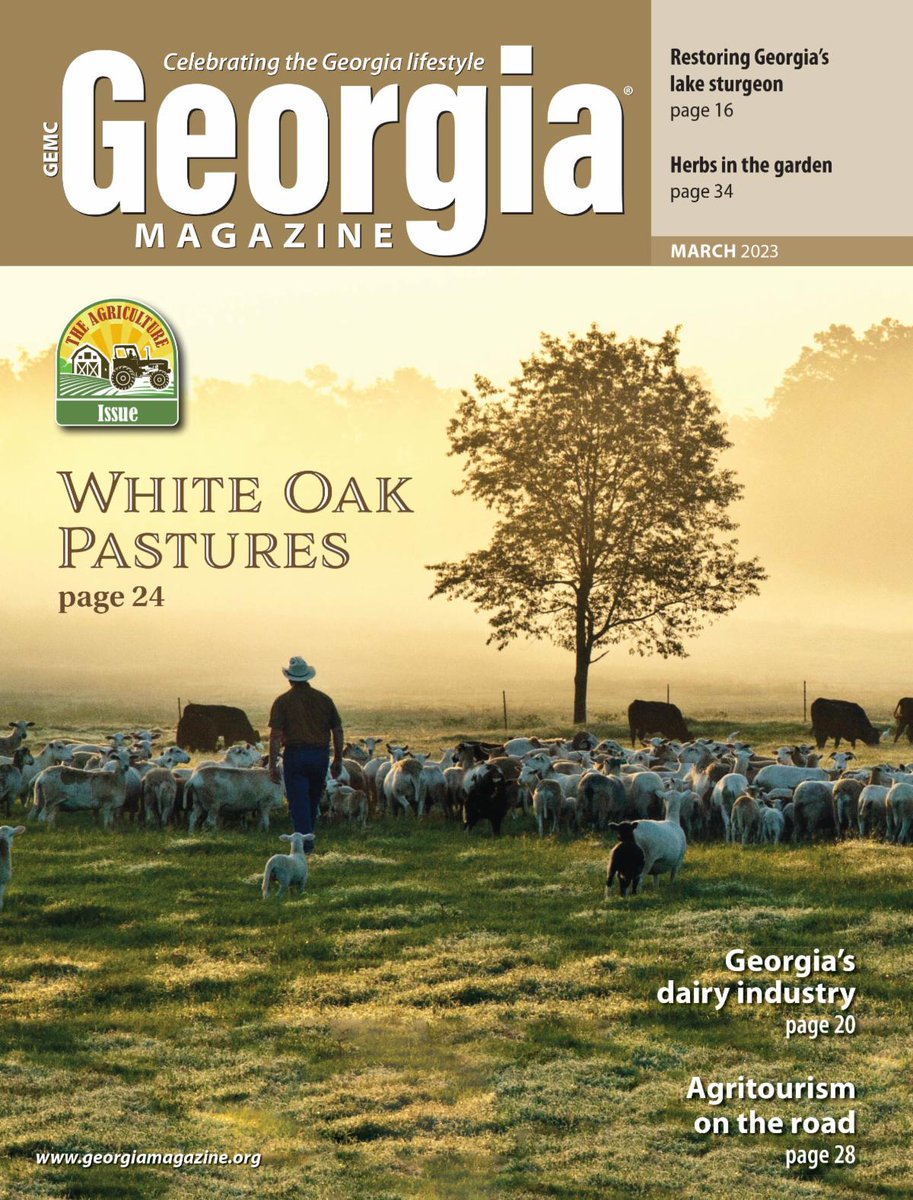 Georgia Magazine (@georgiamagazine) on Twitter photo March's issue features <a href="/whiteoakpasture/">White Oak Pastures</a>, lake sturgeon's resurgence, Georgia's dairy industry, <a href="/GeorgiaGrown/">GeorgiaGrown</a> Trails, herb gardens, recipes from farms and more! georgiamagazine.org bit.ly/gmg0323 conta.cc/3J4UNnv March's issue features <a href="/whiteoakpasture/">White Oak Pastures</a>, lake sturgeon's resurgence, Georgia's dairy industry, <a href="/GeorgiaGrown/">GeorgiaGrown</a> Trails, herb gardens, recipes from farms and more! georgiamagazine.org bit.ly/gmg0323 conta.cc/3J4UNnv