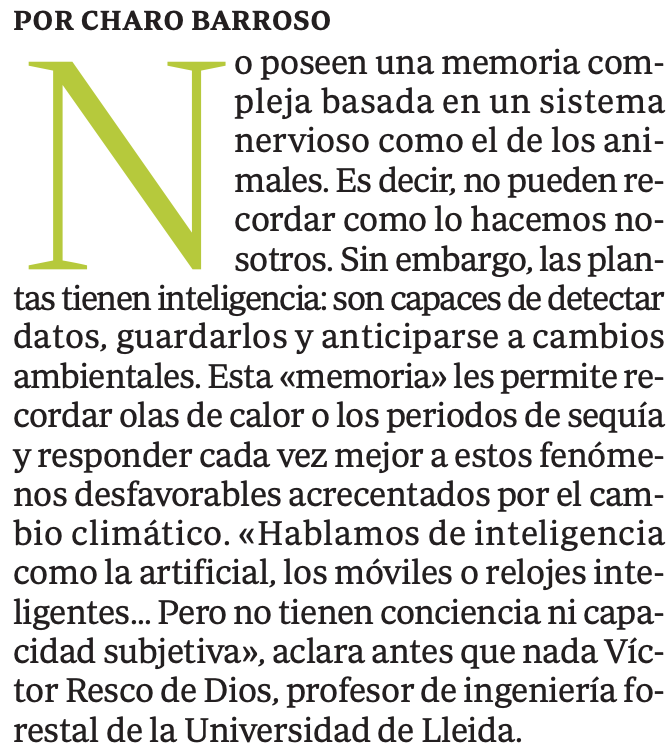 rescodedios's tweet photo. Muchas gracias a @abc_es por contar conmigo para el suplemento Natural de ayer sobre la memoria y la inteligencia en las plantas, sin caer en antropomorfismos innecesarios que solo confunden nuestro entendimiento sobre el mundo vegetal y su adaptación al cambio climático. https://t.co/ZP20GYFL8W