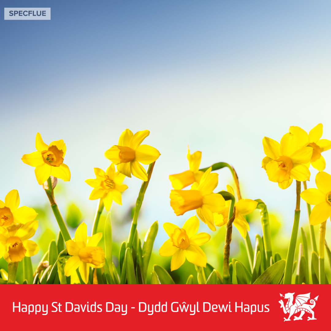 Specflue tweet media