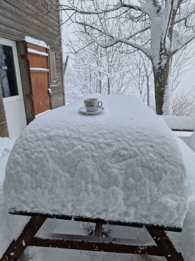 fansdeneu's tweet image. Bon dia per prendre un cafè amb 50 cm sobre la taula, brutals imatges de l'illa de Còrsega via @ThomasBlanchar2 🔝🔝🔝
Avui s'esperen fins a 40 cm de neu nova🥳❄️❄️
#powderalert #neu #selia #fansdeneu