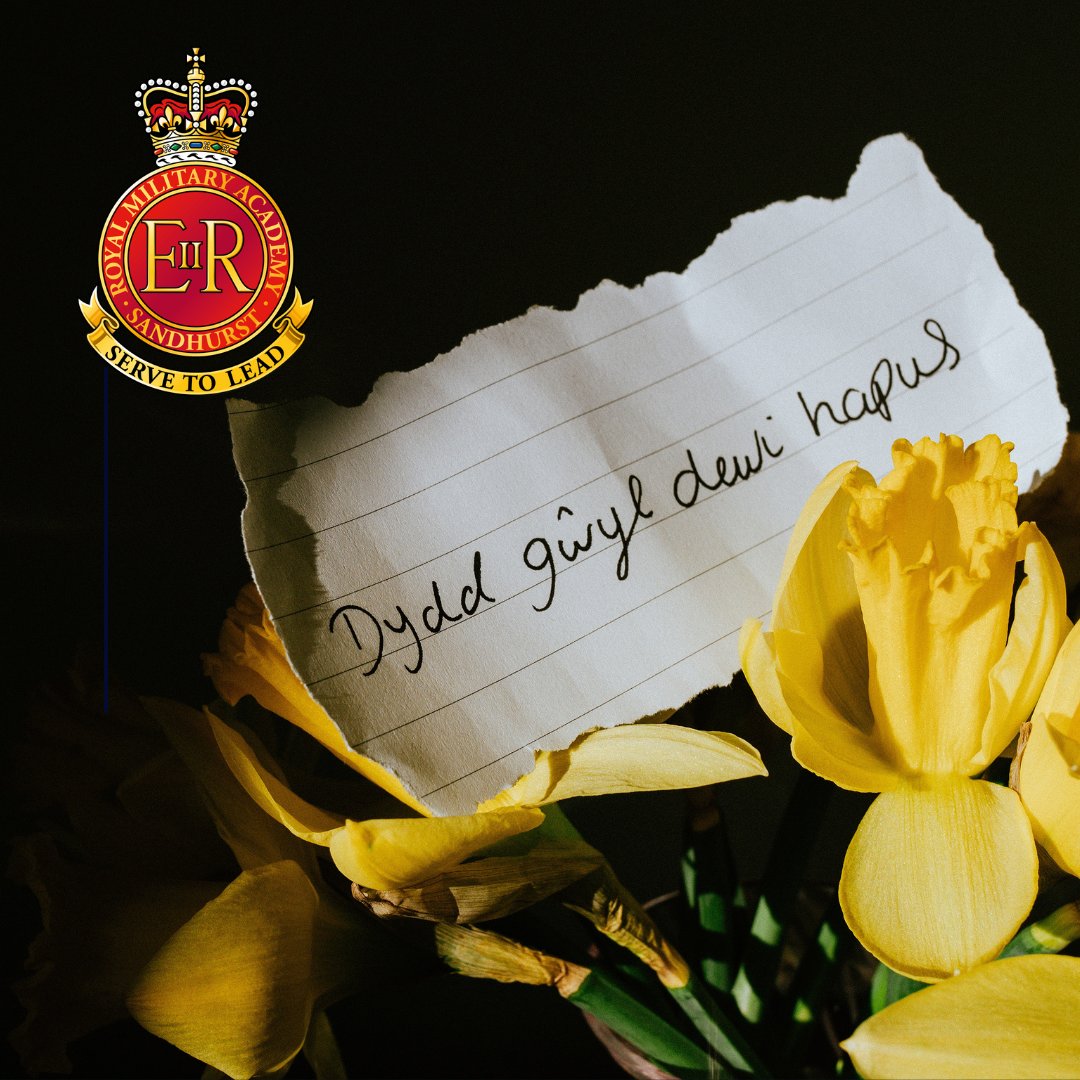 Happy St David's Day to all the Welsh soldiers and officers of the British Army around the world be you in a Welsh Regiment or not, serving or veterans - Dydd Gŵyl Dewi Hapus, Happy St David’s Day. 

#StDavidsDay #DyddGwylDewiHapus #Welsh #Wales #Soldiers #veterans