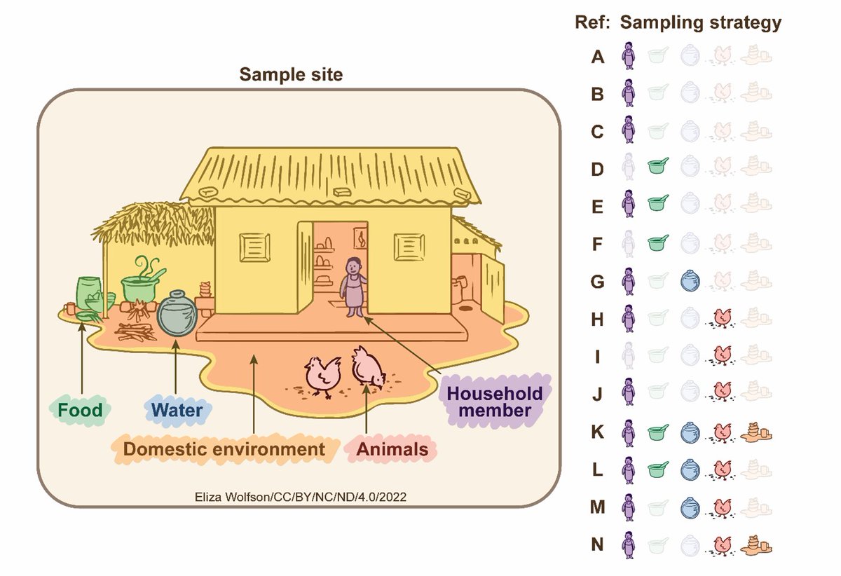 MelitaGordon5's tweet image. So where do kids get iNTS from? A long-standing puzzle - we've tried to pull the diverse evidence together from 14 papers, including our own most recent field study. *Take-home* ... probably circulating between humans, not animals! #iNTS #Salmonella @MlwTrust @flashton2003