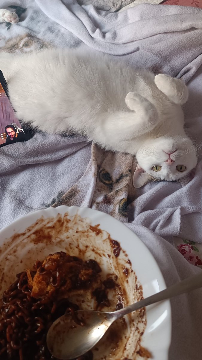 AkikoYuOfficial's tweet photo. Ich bin überhaupt icht mopsig und ich vertrage sicher noch einen Happen von deinem essen...
#kazumi #baby #schmutzi #mops #süß #betteln #pfötchen #gronkh https://t.co/qYSqLCWosW