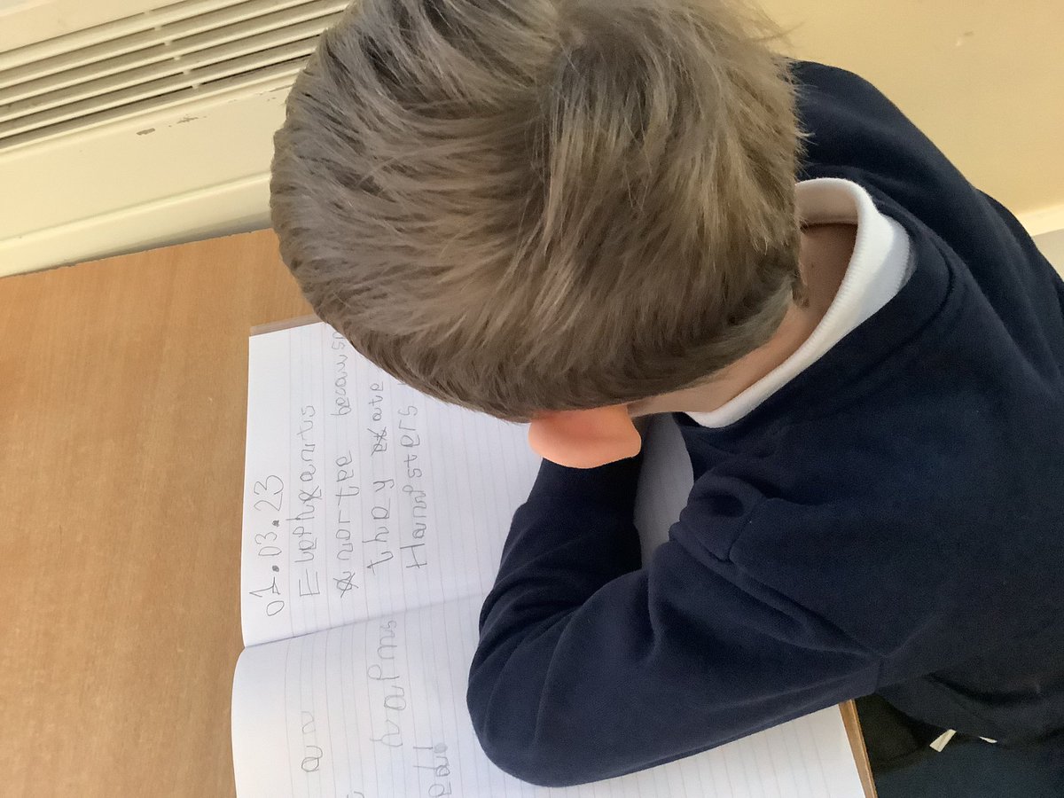 croxby-primary-on-twitter-as-writers-the-koalas-created-some