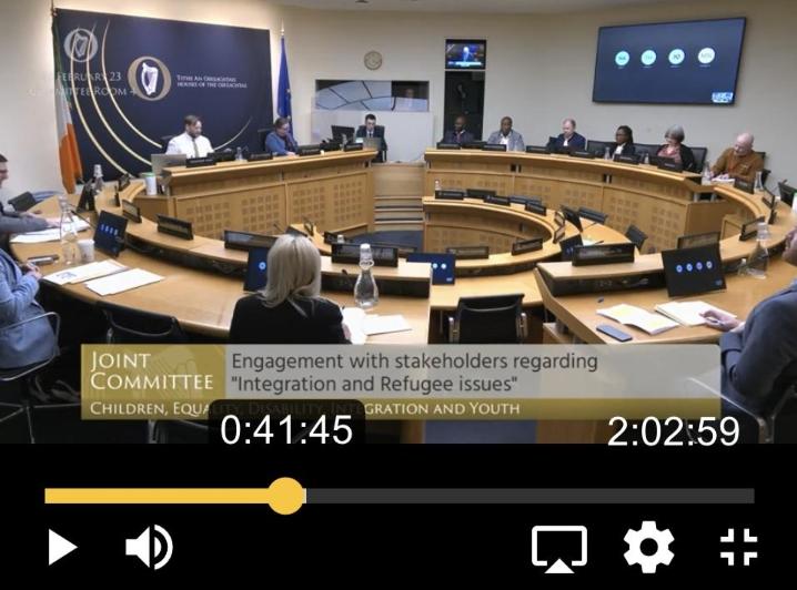 CulturIreland's tweet photo. Grateful for the opportunity to talk about the work we do in the community yesterday at the Joint Committee of the Oireachtas (Irish Parliament) on Children, Disability, Equality &amp; Integration. Link here:  
https://t.co/s22sSawMU3 https://t.co/MhMezi9KdH