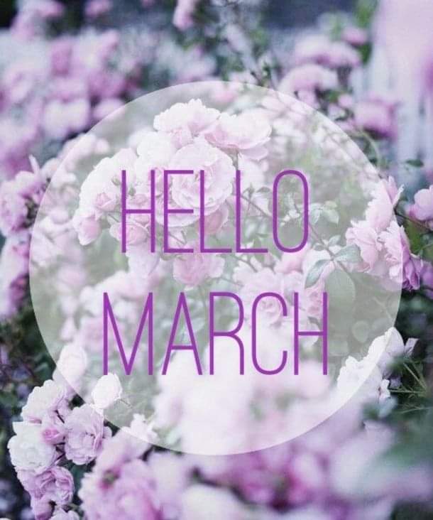 FunJustJustin's tweet image. Have a great March everyone #march #marchvibes🌻