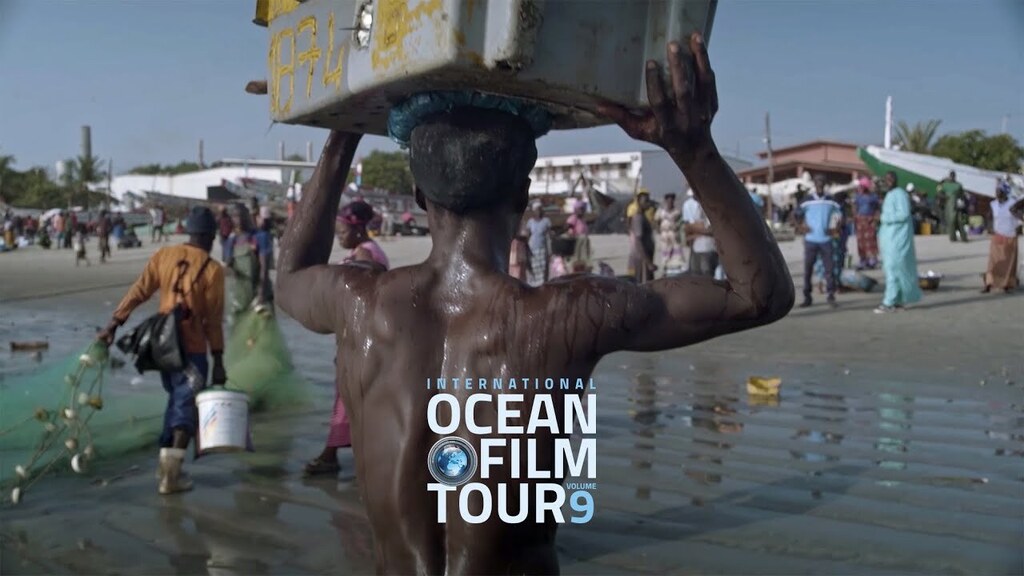 youtu.be/5oOL9nbjm4I ENVIRONMENT // OVERFISHING. Illegal trawlers operating on a large scale to supply foreign fishmeal factories have caused a scarcity of fish in the sea off the coast of Gambia. STOLEN FISH explores the causes of stagnant development in West Africa and the…