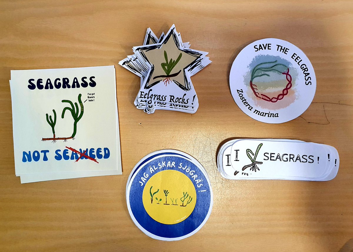 Celebrating the 1st UN #WorldSeagrassDay with stickers! 

Happy to share the files with other #seagrassfans :)