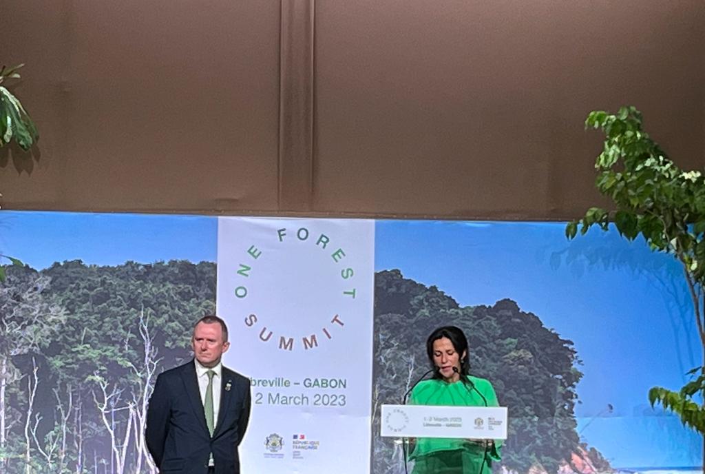 La forêt tropicale c'est un stock de 10 ans des émissions mondiales de CO2. Si on les perd on condamne nos enfants et petits enfants. Nous ne sommes pas là pour faire de grandes déclarations mais passer aux actions. Promouvoir des solutions pour la gestion durable des écosystèmes