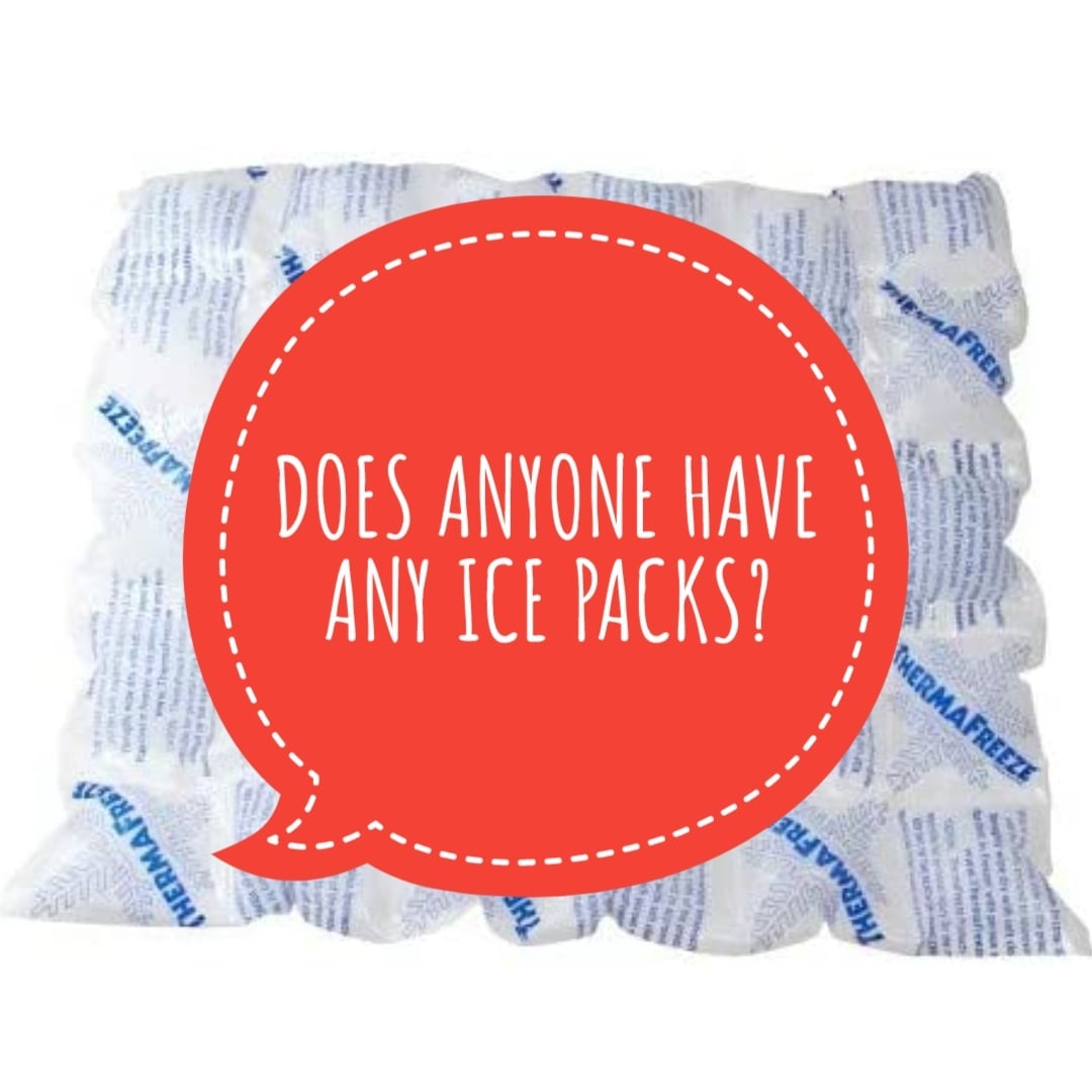 CleanWaterActGp's tweet photo. 📢 WE NEED ICE PACKS! 
Can you help? Do you or anyone you know have a supply of ice packs? We use them to send off our samples to the lab and we'd love to be able to re-use rather than have to buy new!
DM us your name &amp; no
Thanks Clean Water Lovers! 😁🙏
#hastings #stleonards https://t.co/H7KxvAcKhI
