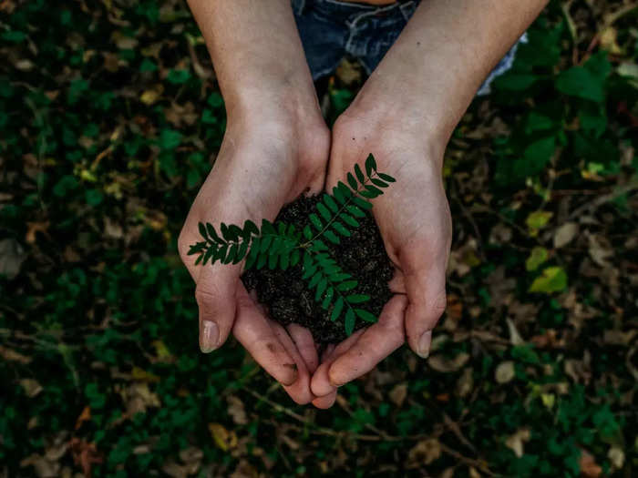 BiIndia's tweet photo. Explained: #Apple's Clean Energy Charging for #iPhone that sets a new standard for sustainability

https://t.co/d3Tu4GdgOt

By @rahullko32 https://t.co/9Hdo6zm47e