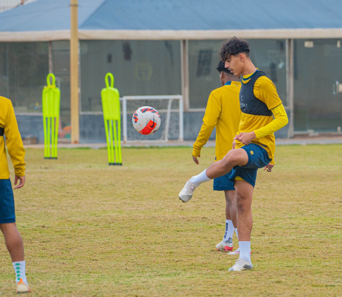 n40waf's tweet photo. 🔜🐺💛 https://t.co/54zyokCHvA