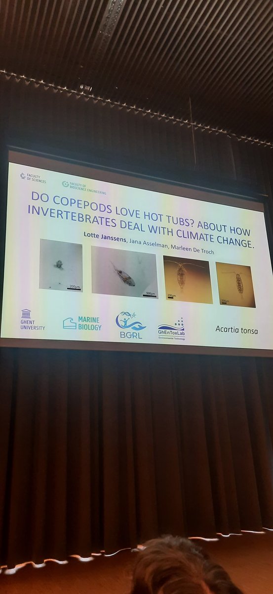 AVafeiadou's tweet photo. Copepods are getting hot! Presenting live now at #VMSD23, by my colleague and PhD student Lotte Janssens @MarBiolUGent @VLIZnews @MarineAtUGent https://t.co/42Qk8p70eA