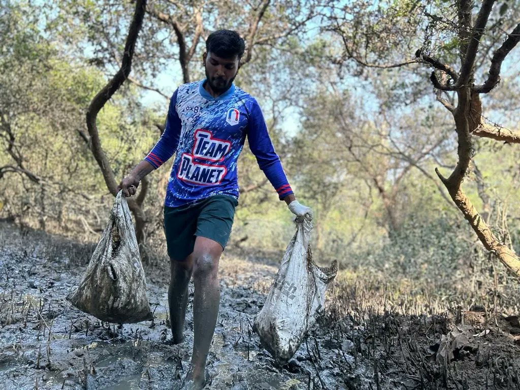 Mangrove Foundation of Maharashtra tweet media