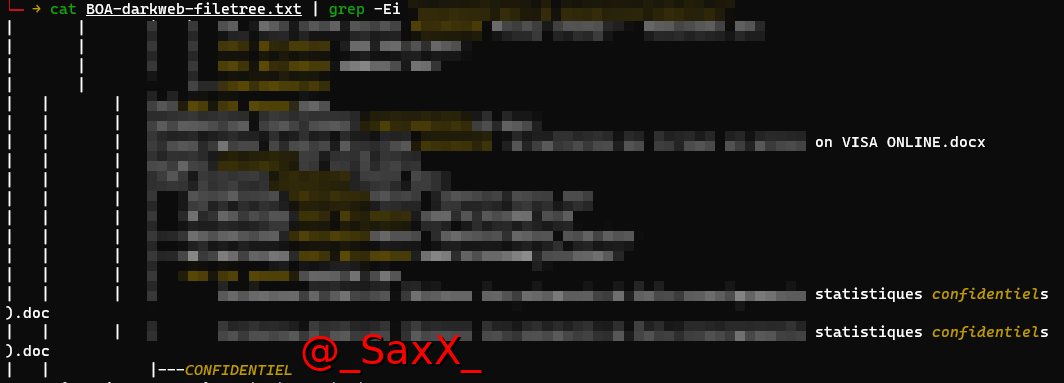 _SaxX_'s tweet photo. [🚨🚨CyberAlert - #BankOfAfrica - La liste de +300000 documents internes et critiques publiée par les cybercriminels de Medusa !]

Le groupe cybercriminel à l'origine de la #cyberattaque de la filiale du #Mali de la #BOA vient de publier l'équivalent de + 300000 fichiers. ⤵️ https://t.co/4aN31AGfCf