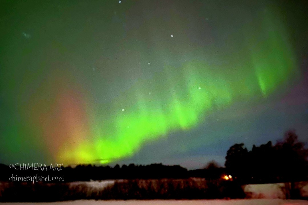 Breathtaking aurora last night. Naantali, Finland 🥰🌌 #auroresboreales #suomi #Finland #beautiful #NaturePhotography #NatureBeauty