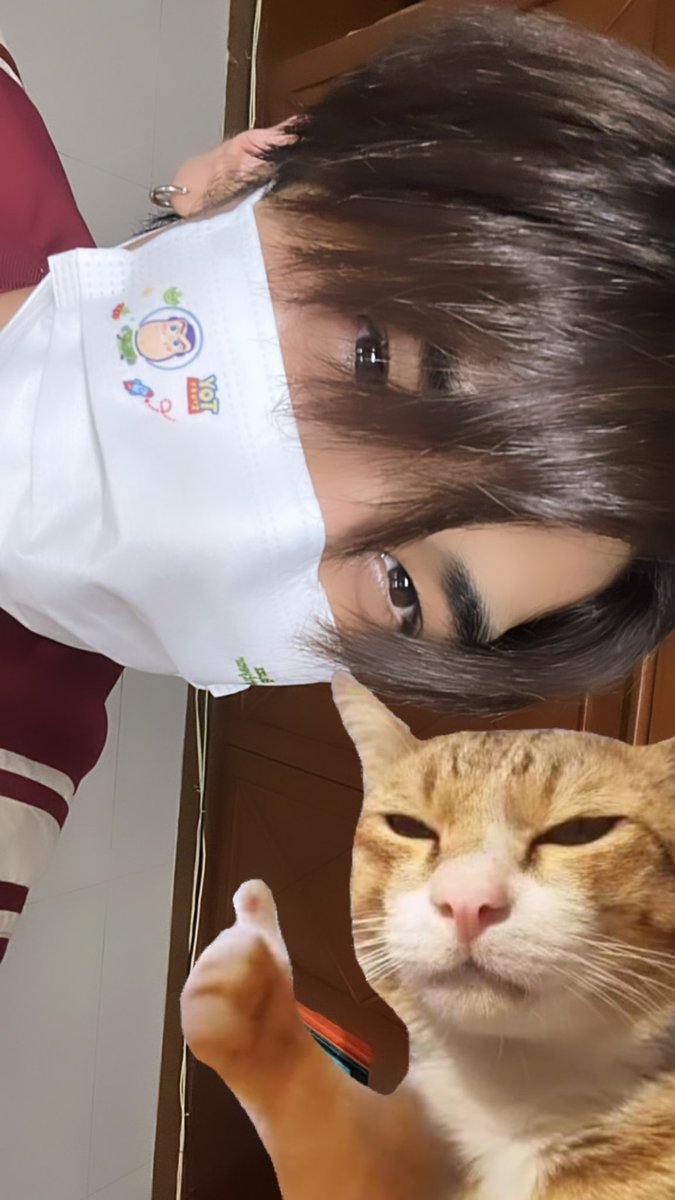 dunknatachai's tweet photo. อะ ขอ selfie คู่แมวด้วยนะบ่าวอาเชน https://t.co/T7GRoXN2EQ
