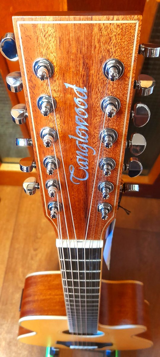 BoothsMusic's tweet photo. Check out this gorgeous @TANGLEWOODUK "Winterleaf" TW12-CE twelve string guitar that has arrived in the latest delivery. #guitarshop #guitar #acousticguitar #twelvestring #12stringguitar #musicshop #music #tanglewood #tanglewoodguitars #bolton #est1832 https://t.co/pROY918afB