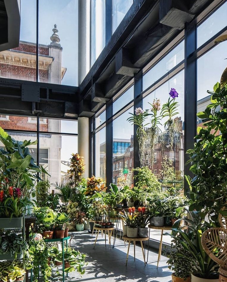 southernspaceuk's tweet photo. An urban jungle in the centre of East London 🌿

Plant Warehouse does exactly what it says on the tin. Overflowing with a selection of various house plants, this is a plant parent's dream ☁️

Just 8 mins from Corner Place: https://t.co/sQQ6ln6mhh

#SouthernSpace #SouthernHousing https://t.co/9kSan5UMOY