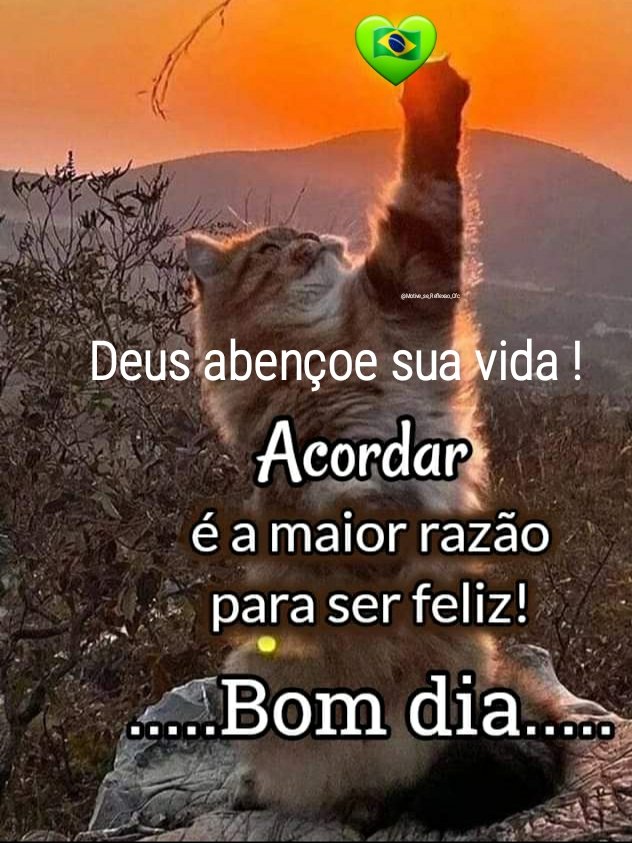 Motive_se_Refle's tweet photo. #SOSHELPBRASIL🇧🇷🇧🇷🇧🇷 https://t.co/iYHc4Snssa