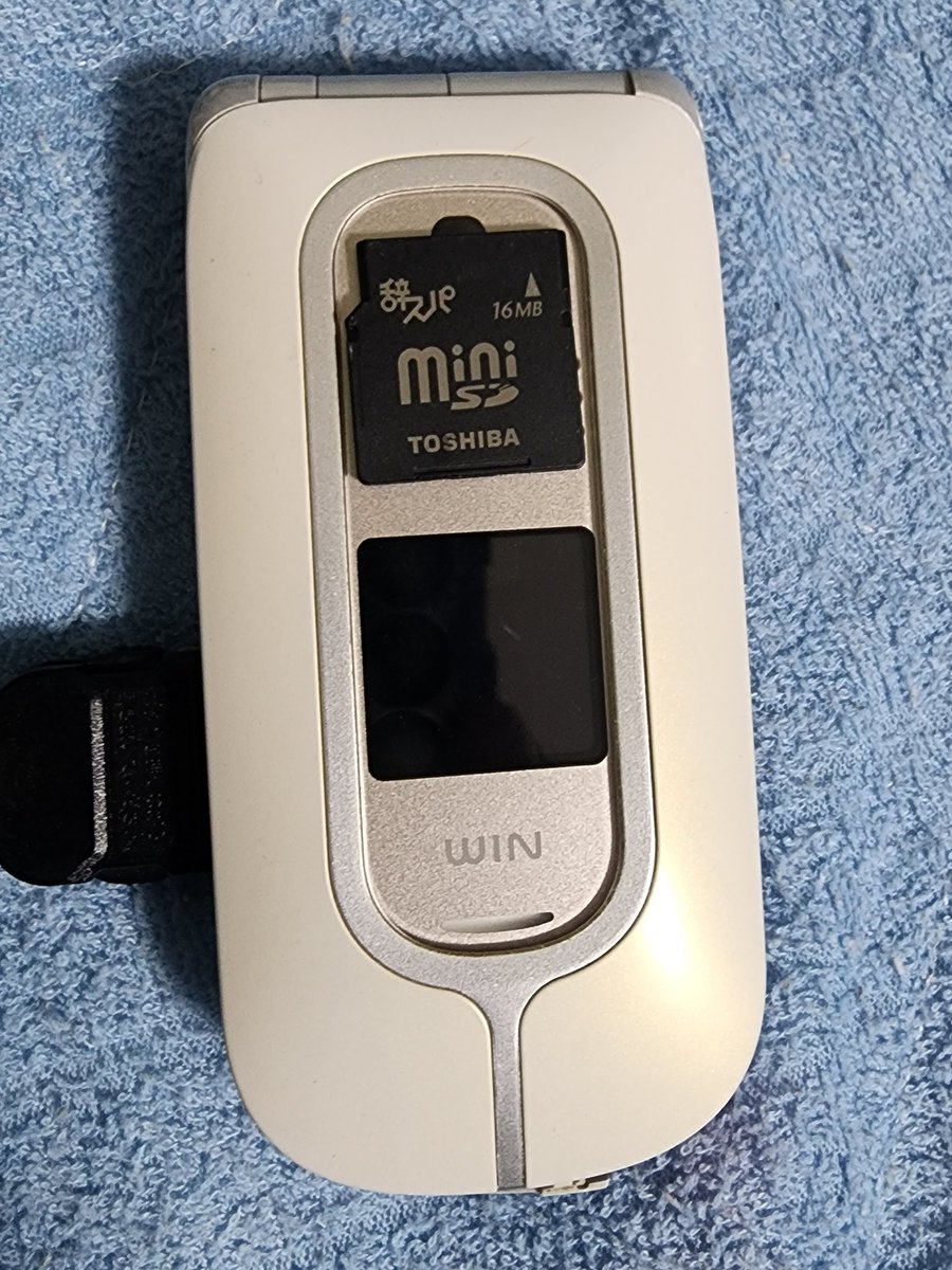 takagi_totyu's tweet image. 家に有る古い携帯弄ってたら
辞スパ
と書かれた16MBのminiSDが出てきた

辞スパって何？
#平成レトロ #miniSD