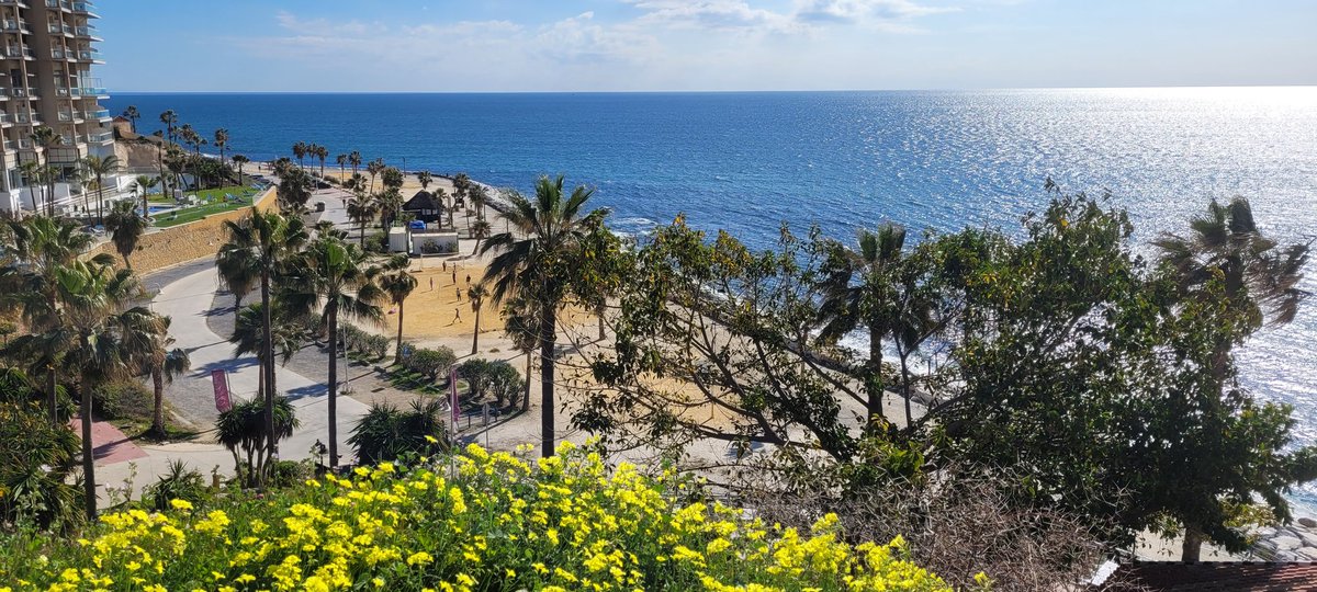 SINOOS_'s tweet image. Wish you a good one❤️