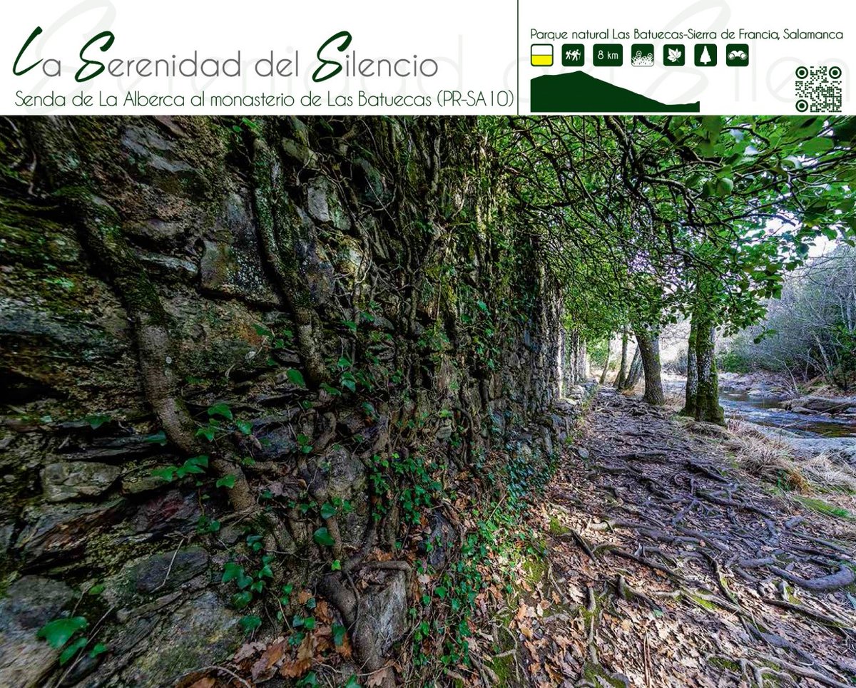#SenderosCyL | Disfruta conociendo los espacios naturales protegidos de Castilla y León 

Senda de La Alberca al monasterio de Las Batuecas (Parque natural Las Batuecas-Sierra de Francia, #Salamanca) 

👣 8 km