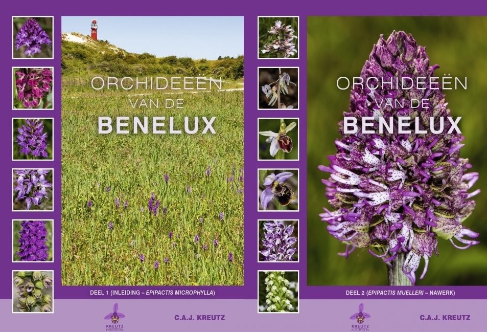 annelies_ja's tweet photo. Voor de liefhebbers: 7 kilo orchideeënplezier aan 39 eur (!) bij @veldshopnl. Schitterend naslagwerk door Karel Kreutz met grote foto's, verspreiding, en bijzondere varianten (zoals een volledig barbieroze wespenorchis 😃....!) #orchideeën #flora
https://t.co/XLfuL39dC6 https://t.co/XQ6kfPZCB5