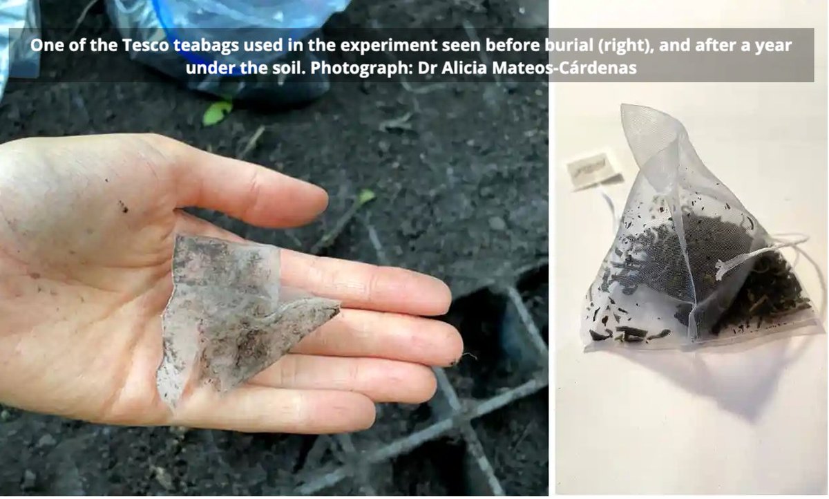 combes_jc's tweet photo. Attention shoppers: According to researchers at UCC, Tesco's "Biodegradeble" teabags don't actually biodegrade when they're buried in soil for 12 months.... Steeped in controversy much? #shoppingproblems https://t.co/SdkQ0736s0