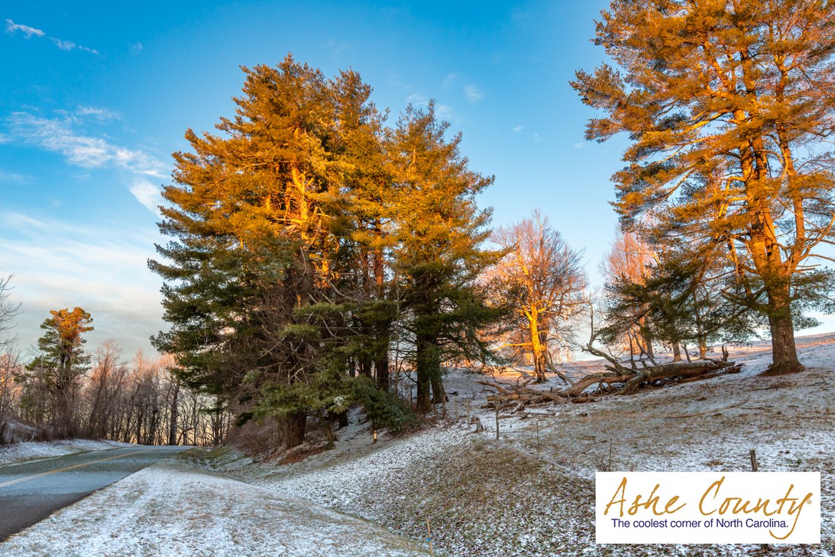 RealAsheChamber's tweet photo. Early morning on the Blue Ridge Parkway 😍

#ashecounty #ashecountync #visitashe #thecoolestcorner #westjefferson #blueridgeparkway #blueridgemoments #blueridgemountains #mountainlife #devilstairs #lovenc #canoethenew https://t.co/QEKL00ITM6