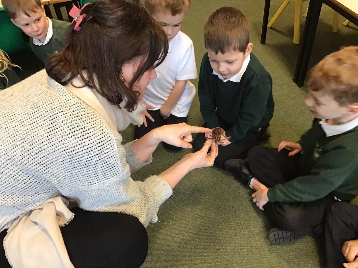 bps_Y1's tweet photo. Not all of Year 1 were very keen on the tarantula or snake skins! https://t.co/1dPHUJffpK