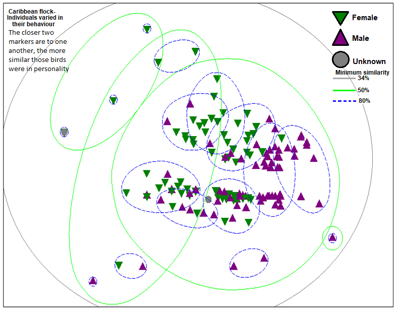 2/4 We used #SocialNetworkAnalysis to ask if the flamingos’ #personality impacted their:

1⃣ choice of companions
2⃣ social role
3⃣ willingness to provide support in fights

Variation in individual behaviour (Fig ⬇️) predicted network structure (who was friends with who!) but…