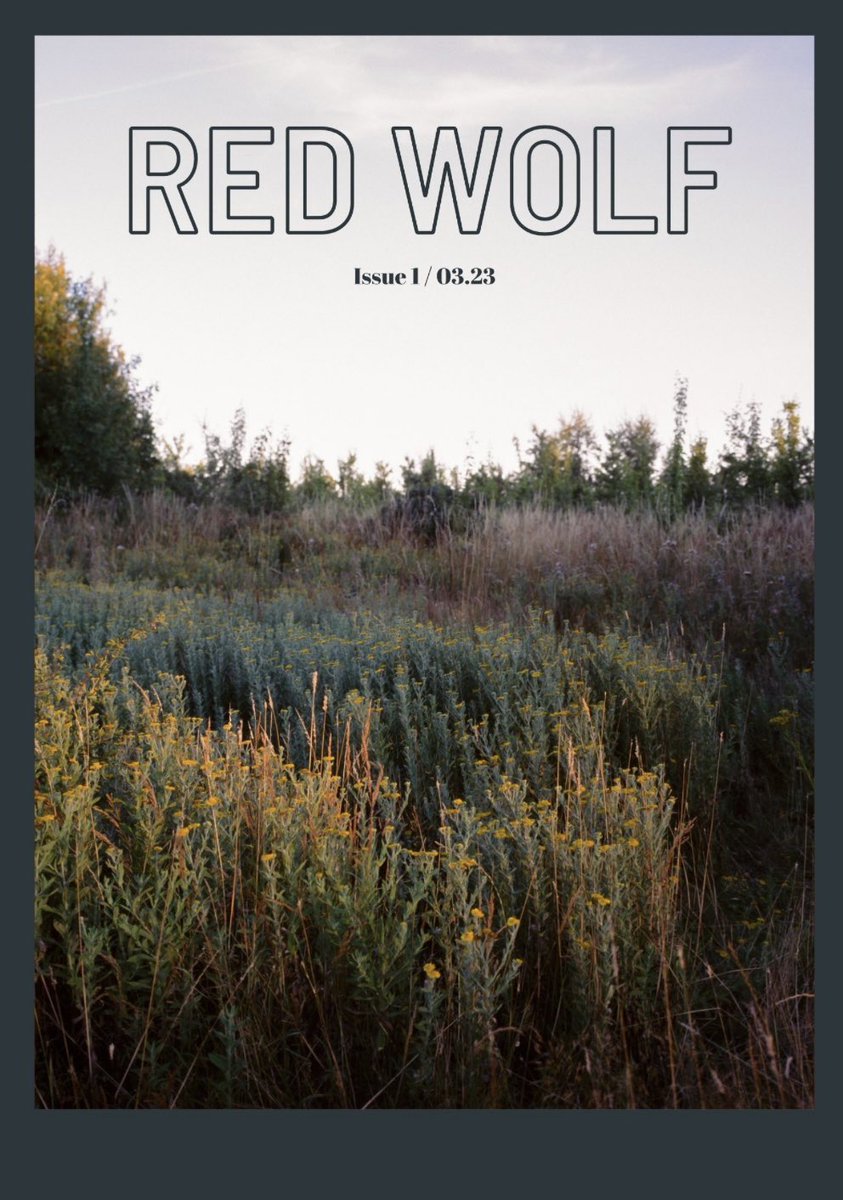 Red Wolf Periodical tweet media