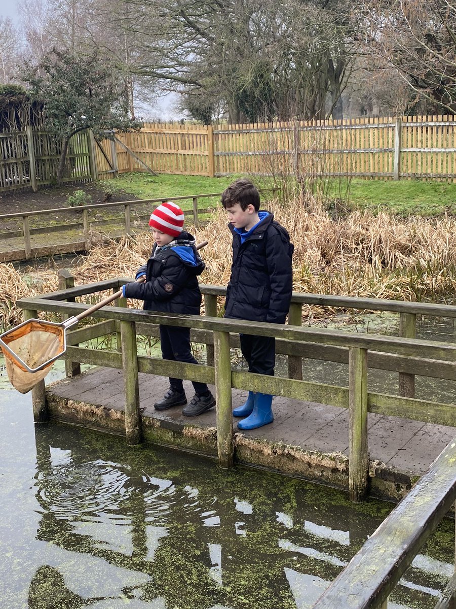 Pond dipping! What will we find? <a href="/GPSMrsHarrison/">Mrs Harrison</a> <a href="/GreystokePS/">Greystoke Primary</a> <a href="/GPSCharlesworth/">Miss Charlesworth</a> <a href="/gpsmissiqbal/">Miss Iqbal</a>
