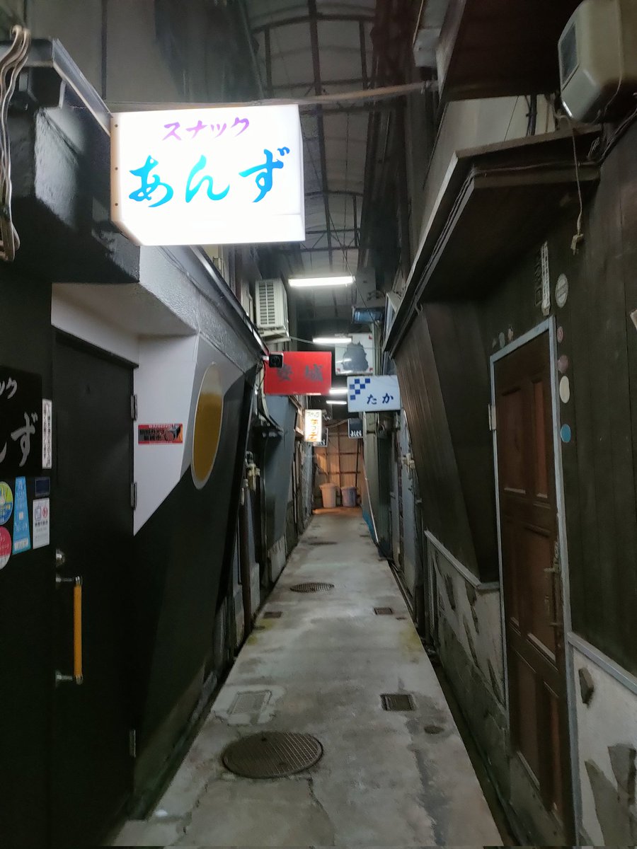 fancy_saito's tweet image. 柳ヶ瀬。　アーケード商店街がひしめくあって、グルグルと迷い歩いた。商店と飲み屋が混在する昭和チックな雰囲気がとても素敵ʘ⁠‿⁠ʘ　#岐阜　#アーケード街