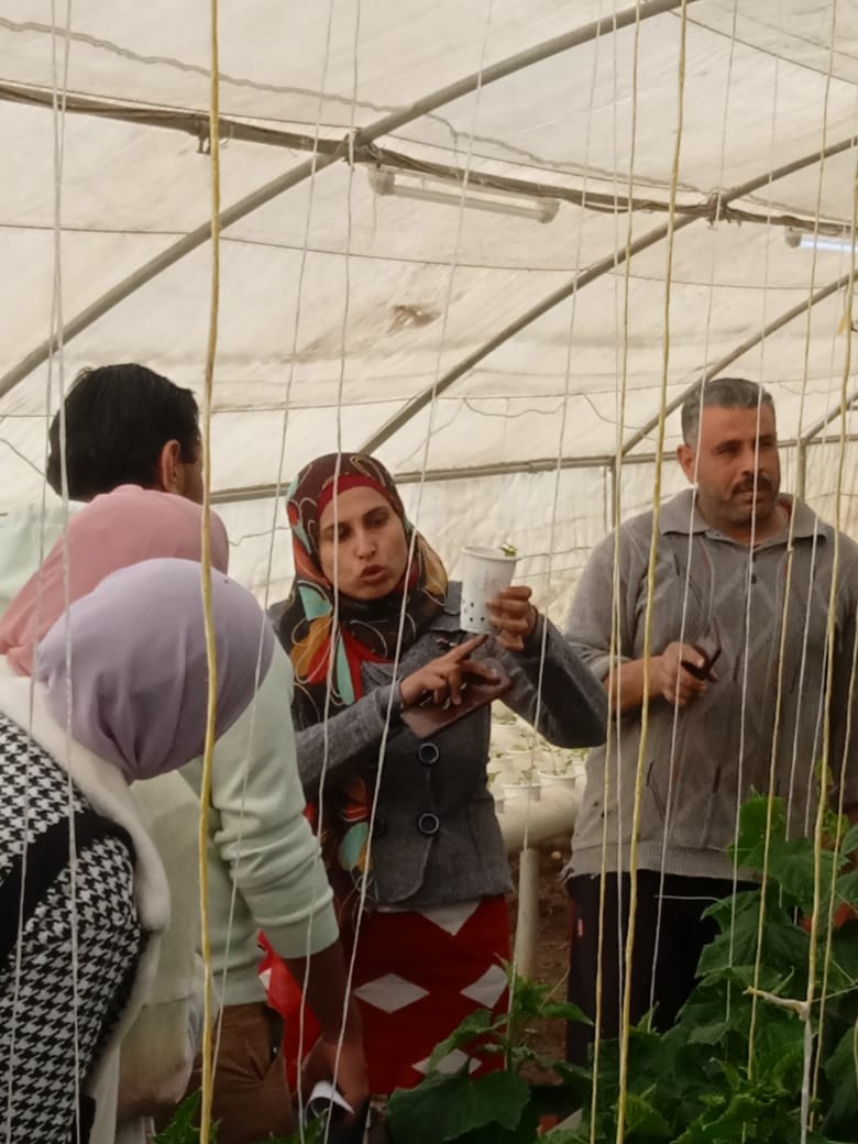 HortimedPRIMA's tweet photo. 💫#HortiMED field training workshop 💫

Last week private sector stakeholders and students of @AlAzharUniv and @BenhaUniveristy  visited #NIOF's demo site in #Egypt and learned about

✅ #IMTA technologies
✅ IoT monitoring systems
✅ Resource efficient greenhouse production https://t.co/5EkUz75NPa