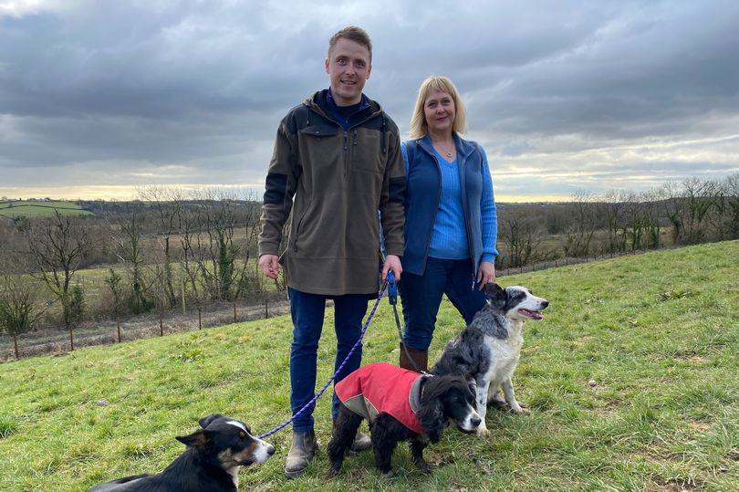 WalesOnline 🏴 (@walesonline) on Twitter photo There is a fully enclosed 'freedom' field in Wales where your dog can run about to their heart's content - and we went along to see what it was like bit.ly/41xqzAD There is a fully enclosed 'freedom' field in Wales where your dog can run about to their heart's content - and we went along to see what it was like bit.ly/41xqzAD