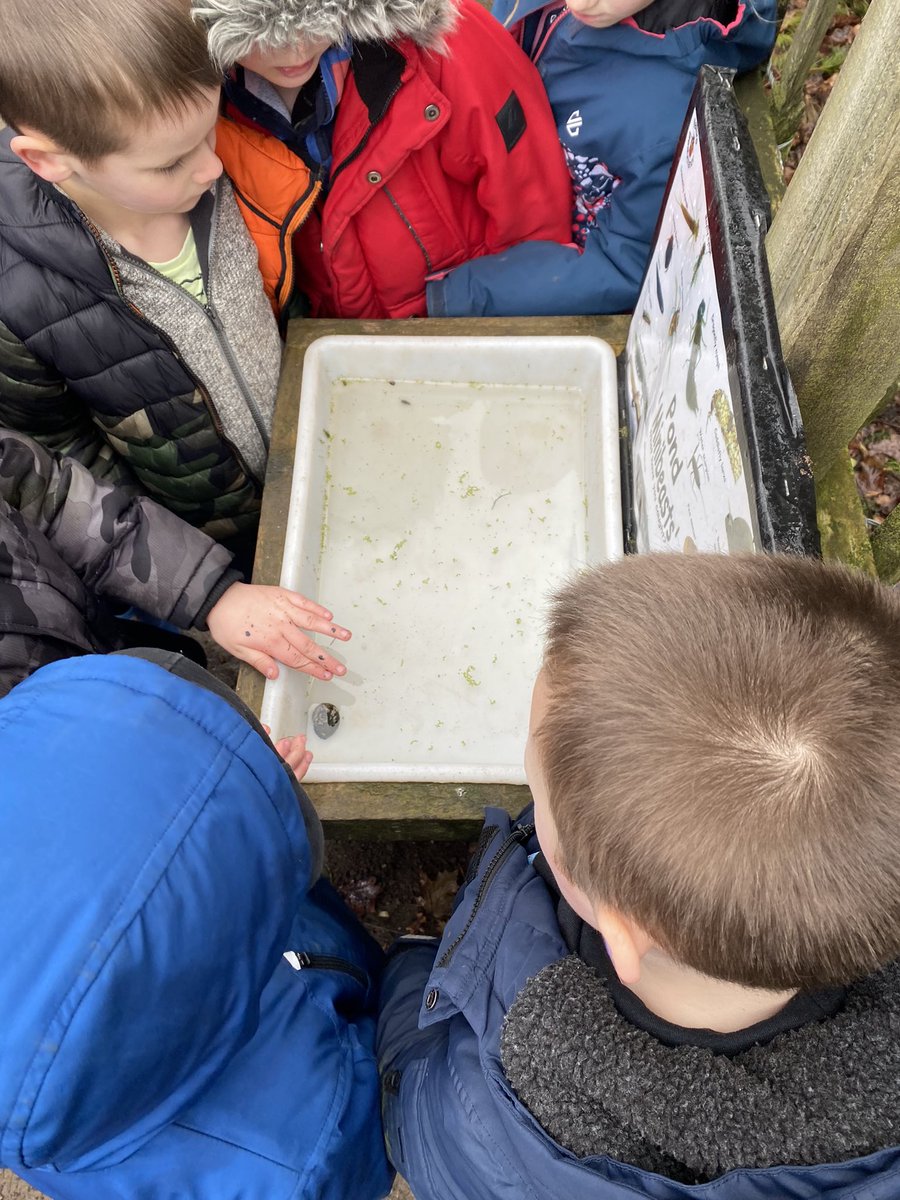We found a stickleback and a water louse! <a href="/GreystokePS/">Greystoke Primary</a> <a href="/GPSCharlesworth/">Miss Charlesworth</a> <a href="/GPSMrsHarrison/">Mrs Harrison</a> <a href="/gpsmissiqbal/">Miss Iqbal</a>
