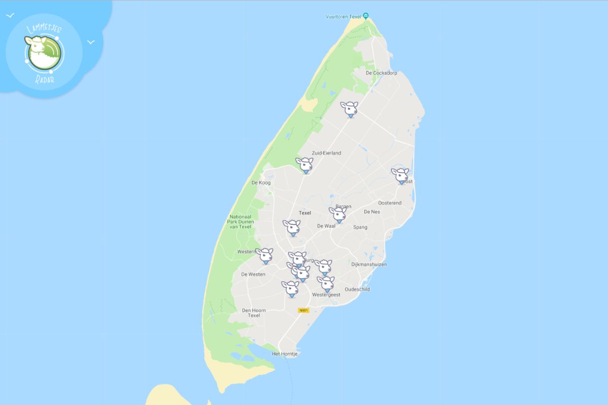 Yes, de #lente staat voor de deur en inmiddels staan de eerste #lammetjes alweer in de wei. ☀️🐑De hoogste tijd om onze #lammetjesradar weer online te zetten! Heb jij al lammetjes gespot op #Texel? > lammetjesradar.nl