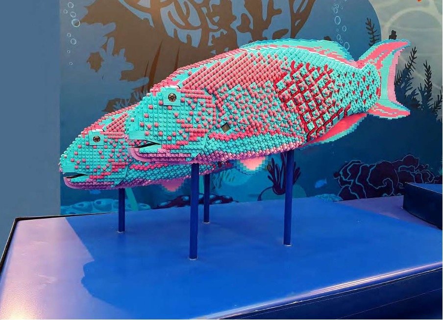 Bricklive_Group's tweet photo. Bricklive Ocean, Aqua Zoo Leeuwarden 1st - 18th June. Discover the incredible diversity of life in the Earth’s oceans and about the major environmental issues that threaten their existence @LVCG #AquaZoo #BrickliveOcean #oceans #environment https://t.co/SyMjrrP47L