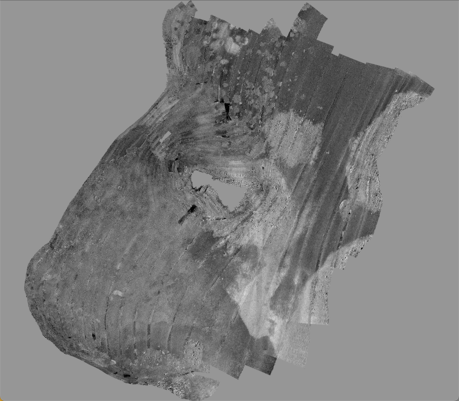 dmallace tweet media