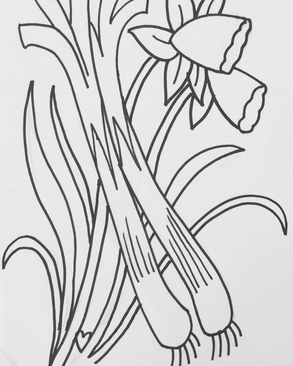 Free colouring sheets by Dorian Spencer Davies to celebrate St Davids Day. Taflenni lliwio i ddathlu Dydd Gŵyl Dewi #cymru #DyddGwylDewi #DyddGwylDewiHapus