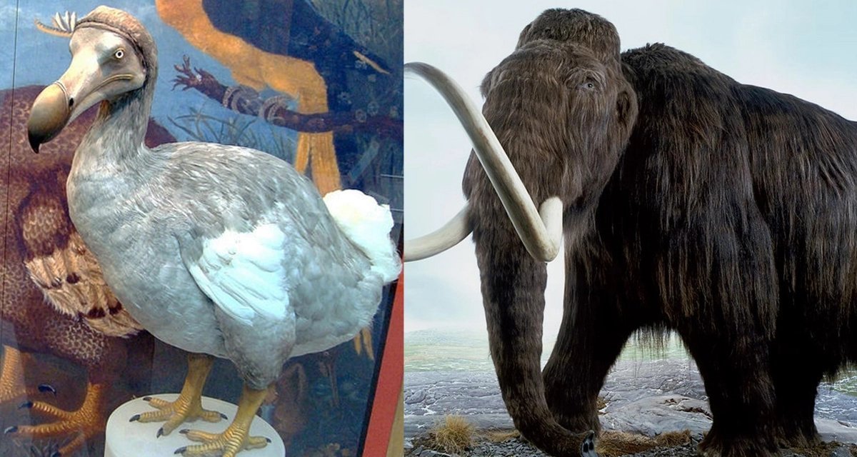 La Science, CQFD tweet media