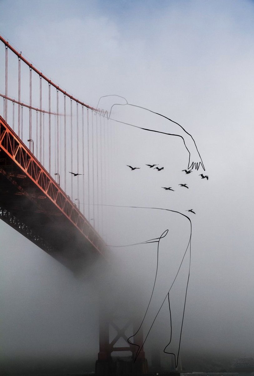 They left her nest at first light...🕊️📦 

Those who won the <a href="/SamsungIsrael/">Samsung Israel</a>  competition, check your mail, shipment is on its way