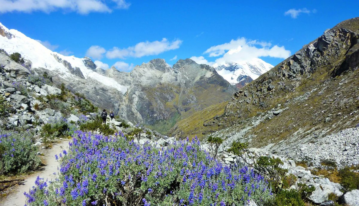 Mal se préparer à l’altitude, mal connaître ses limites, son environnement, c’est se mettre en danger. Toutes les infos sur le mal des montagnes : les symptômes et comment tenter de l'éviter. Conseils d'acclimatation et bonnes pratiques ! ⬇️ 
#Tourisme 
buff.ly/3kr2ElS